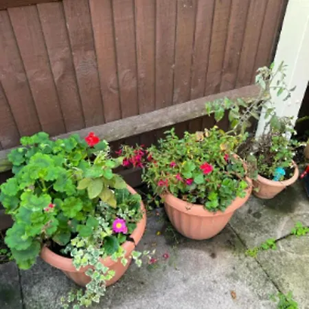 Dom wakacyjny Impeccable 2-bed House Near City Centre *